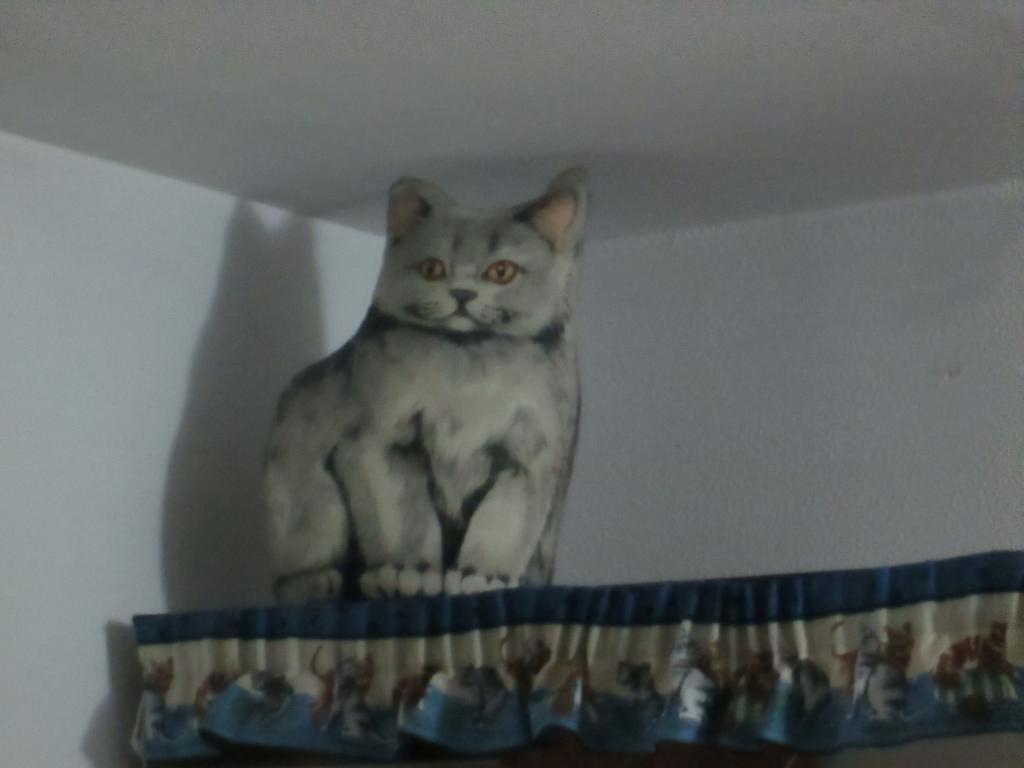 Apartmán Cat'S House Lido di Ostia Pokoj fotografie